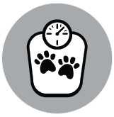 a weighing scales with paws encouraging people to weigh your pet